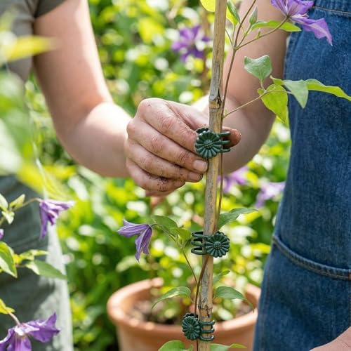 Plant Clips 50 Pcs, Orchid Support Clips, Flower Vine Garden Clips for Climbing Plants - Image 7