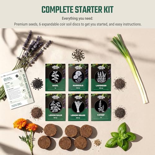 Tactiko Garden Herb Seed Kit with 6 Coir Soil Discs - Image 5