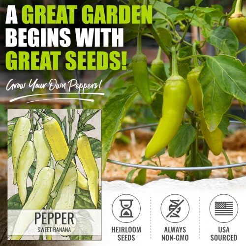 Seed Needs Sweet Banana Pepper Seeds to Plant Vegetables - 2 Packs - Image 2