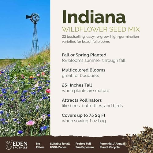 Eden Brothers Indiana Wildflower Mixed Seeds for Planting, 1 oz - Image 2