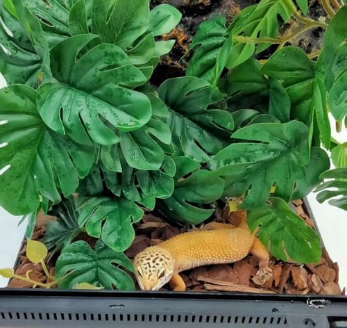 Fake Reptile Plants for Terrarium ,Tank Decor,Artificial Plant - Image 5