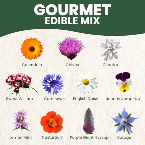 Gourmet Edible Mix – 1,000 Premium Seeds for Planting – Fresh Culinary Flowers & Herbs – 2026 Season – 5 Gram Pouch - Image 4