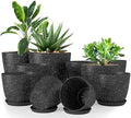 Plant Pots Indoor with Drainage 10 Pack Multi-Size Planters Spotty Black by UTOPIAHOME