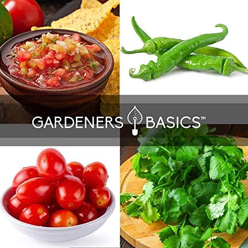 Gardeners Basics, Heirloom Salsa Growing Seed Packets, Roma VF Tomato, Jalapeno, Cilantro, Anaheim and Onion Seeds for Garden Non GMO 5 Free Plant Markers - Image 5