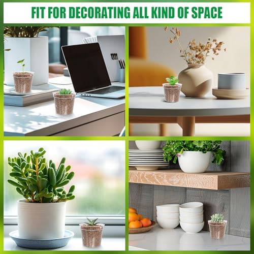 BTPLASTIK 50 Pack 2.5 Inch Clear Nursery Pots for Plants, Sturdy Plastic Plant Pot for Planting Vegetables Flowers Seedlings, Transparent Seed Starter Pots with Drainage Holes, garden, Gardening Gifts - Image 6