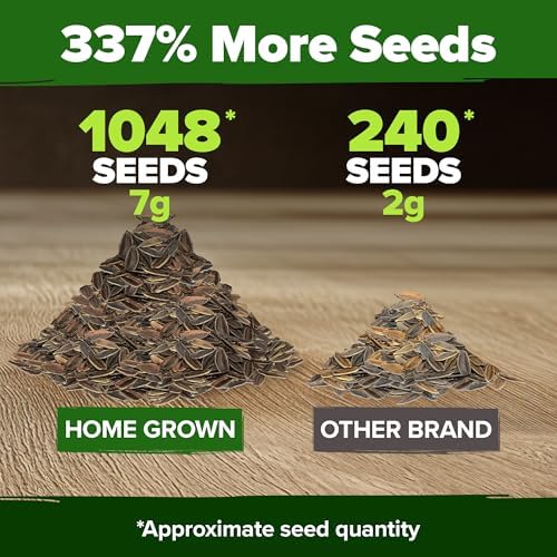 HOME GROWN Zinnia Dahlia Seeds, 1048 Seeds, Zinnia elegans - Image 3