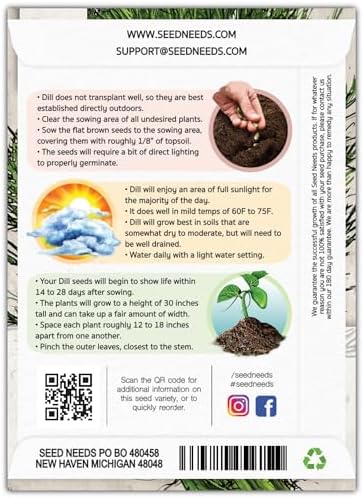 Seed Needs Bouquet Dill Seeds to Plant an Herb Garden - 1 Pack - Image 2