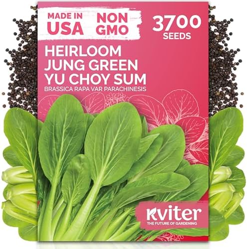 3700 Jung Green Yu Choy Sum Vegetable Seeds, Brassica Rapa VAR Parachinesis by KVITER