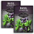 Basil Seeds Mix for Planting - Survival Garden Seeds (2 Pack) by SurvivalGardenSeeds