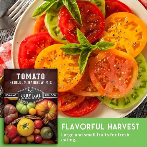 Heirloom Rainbow Mix Tomato Seeds for Planting - 1 Pack - Image 4