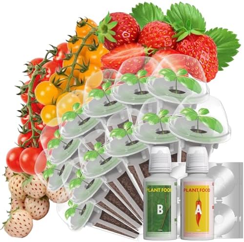 LYKOCLEAN Strawberry Seed Pods for AeroGarden, Ahopegarden, iDOO Hydroponics Growing System, 350 Seeds+ Including Red Cherry Tomato Golden Cherry Tomato, White Strawberry, Red Strawberry (12-Pods) by LYKO