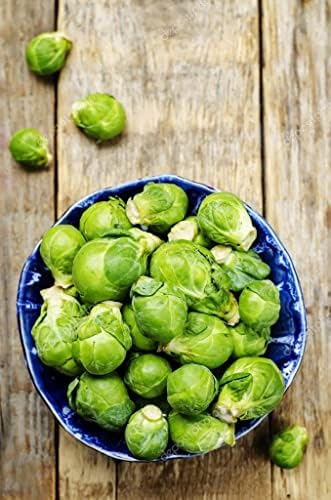 300+ Seeds Long Island Brussels Sprouts Cabbage - Vegetable Green - Image 3