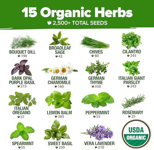 HOME GROWN 15 Culinary + 15 Organic Herb Seeds Variety Pack – 7,000+ Non-GMO USA Heirloom Seeds for Indoor/Outdoor Garden, Hydroponics & Gift Use – Basil, Cilantro, Parsley & More - Image 6
