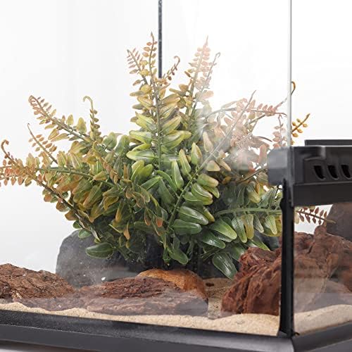 Fall Colors Boston Fern, Reptile Terrarium Snake Tank Accessories - Image 5