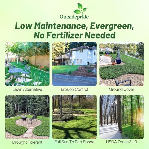Outsidepride Perennial White MiniClover Seed - 1/4 lb. Dwarf, Small-Leaved, Drought & Wear-Tolerant Micro Clover Seeds for Lawn, Ideal Low-Maintenance & Easy to Grow Ground Cover Seeds for Home Yard - Image 3
