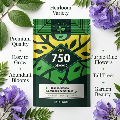 Blue Jacaranda Tree Seeds, Blue-Violet Blooming Ornamental Deciduous Trees - Image 2