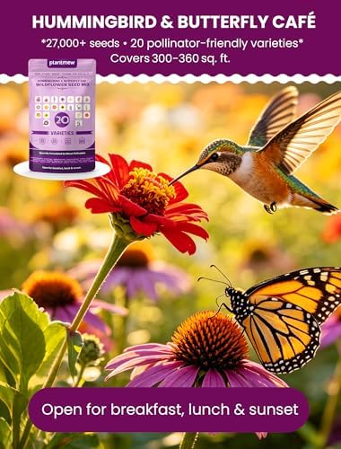 Wildflower Seeds Mix Hummingbird & Butterfly Cafe, 20 Heirloom Varieties, Specially Formulated to Attract Pollinators – High Germination for Outdoor Garden (4oz) - Image 2