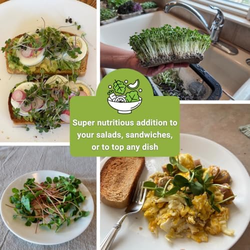 Sow Right Seeds - Large Microgreens Seed Collection for Planting Indoors - Image 6
