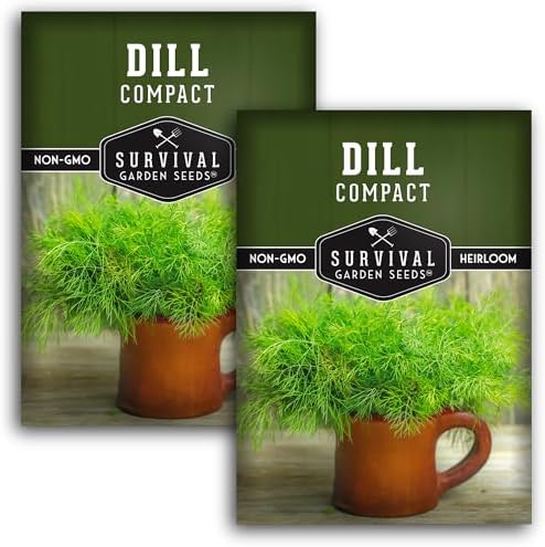 Compact Dill Seeds for Planting – Dwarf Herb Variety (2 Packs) by SurvivalGardenSeeds