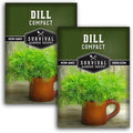 Compact Dill Seeds for Planting – Dwarf Herb Variety (2 Packs) by SurvivalGardenSeeds