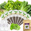 Salad Greens Seed Pod Kit for Hydroponic System-7 Pods by apoloseedic