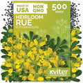500 Common Rue Heirloom Herb Seeds for Planting, Ruta Graveolens by KVITER
