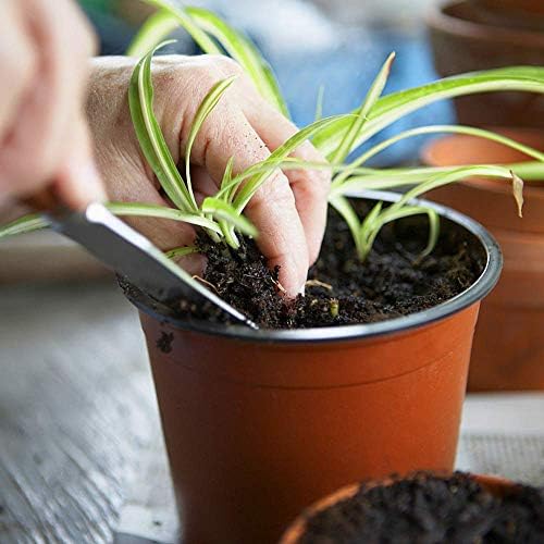 Augshy Nursery Pot, 75 Pcs 4 Inches Plastic Nursery Seed Starting Pots - Image 5