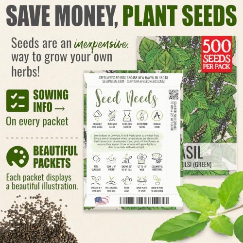 Seed Needs Holy Basil Seeds to Plant an Herb Garden - 5 Packs - Image 3
