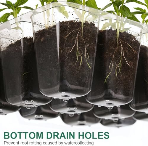 10 Pack Seed Starter Trays, 120 Cells with Humidity Domes and Base Trays - Image 6