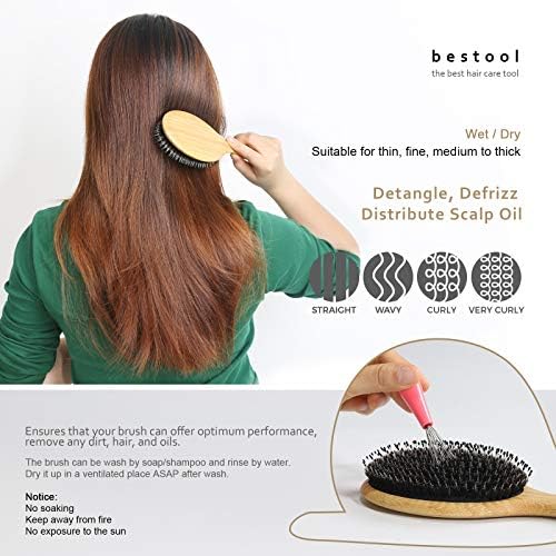 BESTOOL Hair Brush (Regular & Small), Boar Bristle Hair Brushes for Women Men Kids Thick Fine Curly Hair, Hairbrush for Detangling, Soften & Silky Shine - Image 4