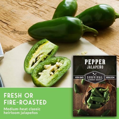 Jalapeño Pepper Seeds for Planting - 2 Packs - Image 3