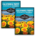 Survival Garden Seeds California Poppy Seeds for Planting, 2 Packs by SurvivalGardenSeeds