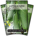 Sow Right Seeds - Luffa Gourd Seed for Planting Loofah Natural Sponge 3pk by SowRightSeeds