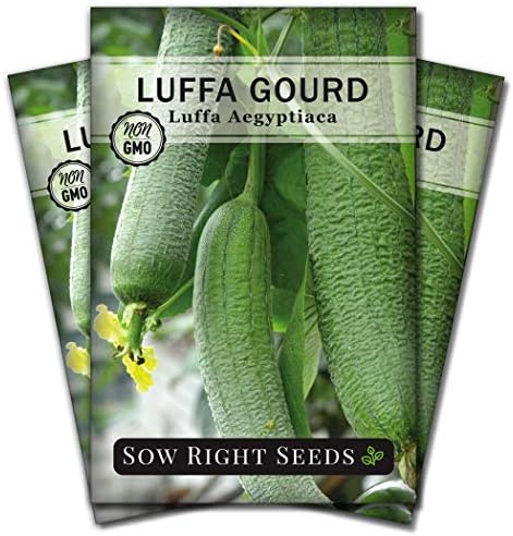 Sow Right Seeds - Luffa Gourd Seed for Planting Loofah Natural Sponge 3pk by SowRightSeeds