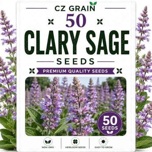 Garden Seeds for Planting, 50 Clary Sage by CZGrain