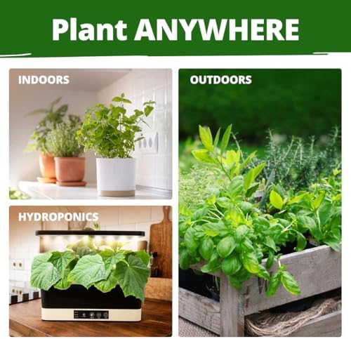 HOME GROWN 15 Herb Seed Variety Kit, 4,300+ Seeds, Culinary Herb Kit - Image 5