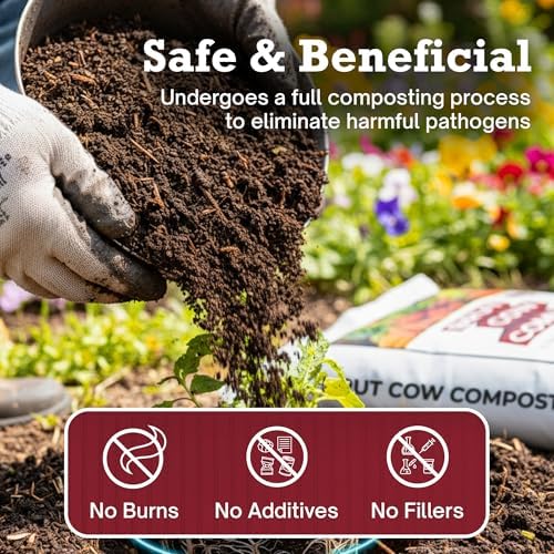 Brut Cow Compost – Nutrient-Rich Composted Cow Manure Organic Soil Amendment – 100% Pure Compost, Additive-Free Fertilizer for Vegetable Gardens, Flowers, Lawns & Indoor Plants – 10 Quart - Image 3