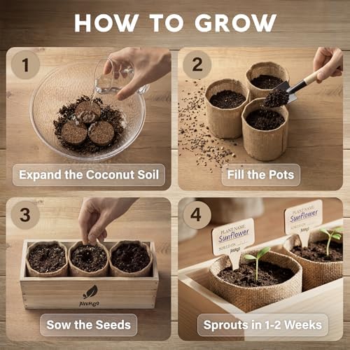 Sunflower Seeds Growing Kit - Image 4
