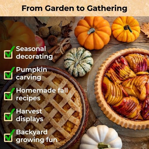 200+ Pumpkin Seeds for Planting, 10 Variety Heirloom Vegetable Seed - Image 5