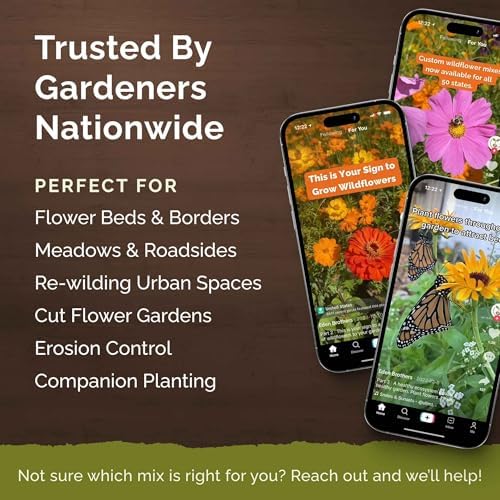 Eden Brothers Cut-Flower Wildflower Seed Mix - Image 3