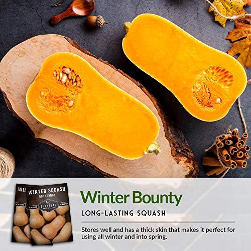 Butternut Squash Seeds for Planting - 1 Pack - Image 6