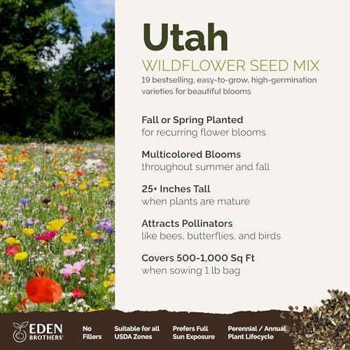 Eden Brothers Utah Wildflower Mixed Seeds for Planting, 1 lb - Image 2