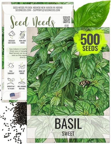 Seed Needs Genovese Sweet Basil Seeds to Plant an Herb Garden - 1 Pack by SeedNeeds