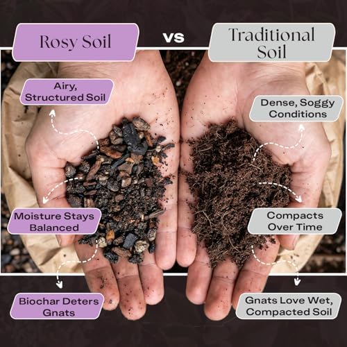 Rosy Soil Orchid Potting Mix, 4 Quarts - Image 4