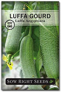 Sow Right Seeds - Luffa Gourd Seed for Planting Loofah Natural Sponge by SowRightSeeds