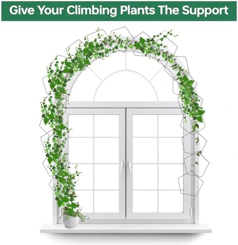 20pcs Chain Trellis for Climbing Plants Indoor, Metal Hexagonal Wall Plant Support Accessories for Vine Growth, Ivy, Pothos Live Plant Climber - Image 2