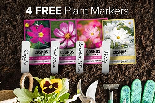 Gardeners Basics, Cosmos Seeds for Planting Outdoors Flower Seeds (4 Variety Pack) Cosmos Candystripe, Sensation Mix, Dazzler, Purity Pink and White Varieties for Bees, Pollinators Wildflower Seed - Image 5