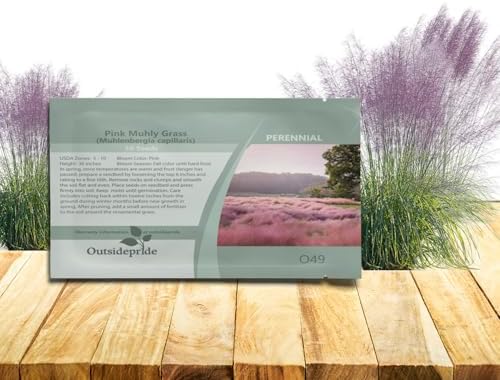 Outsidepride Pink Muhly Ornamental Grass Seeds - 100 Pcs, Perennial, Drought Tolerant, Low Maintenance, Ornamental Tall Grass Plants, Fast Growing for Landscaping, Outdoor Garden, Privacy Plants by Outsidepride