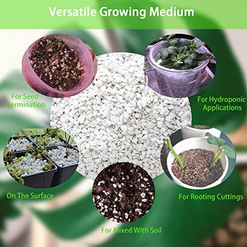 Natural Organic Perlite 2QT for Plants Potting Mix Indoor Outdoor Garden Soil Amendment for Enhanced Drainage, Seed Starter, Root Growth for Succulents, Cactus, Orchids, Money Trees, Vegetables (2QT) - Image 6