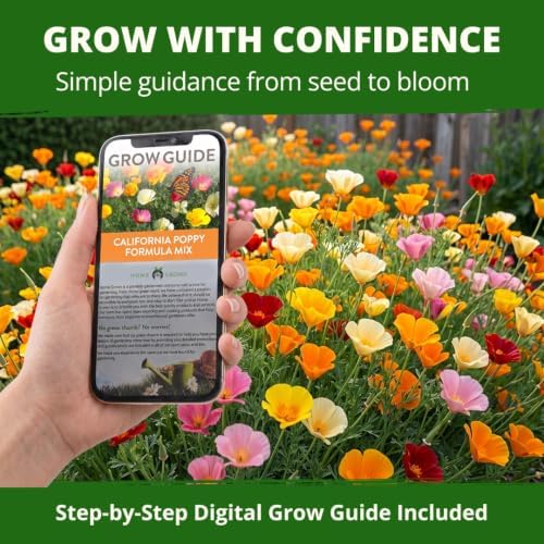 HOME GROWN Formula Mix California Poppy Seeds, 2,000 Seeds - Image 7